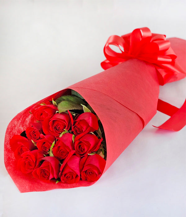 Red France - One Dozen Long Stem Red Roses