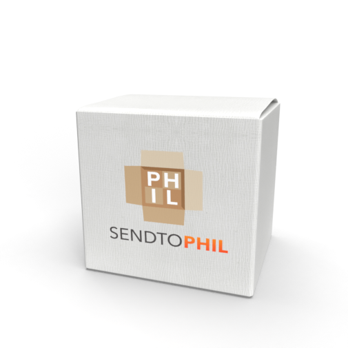 sendtophil balikbayan box 23x17x20 sea freight