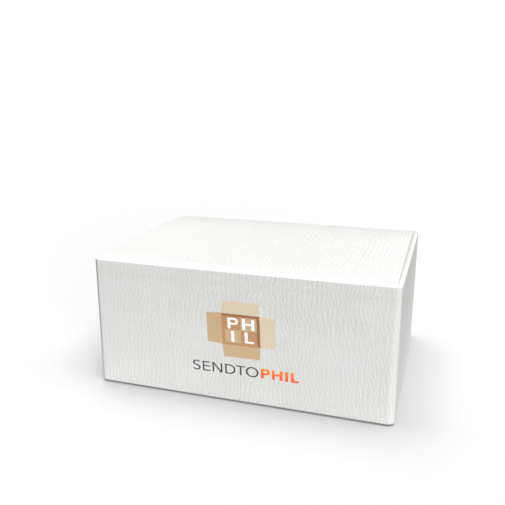 sendtophil balikbayan box 24x18x9 sea freight