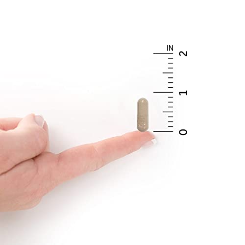 Garden of Life Vitamin C - Vitamin Code Raw Vitamin C - 120 Vegan Capsules, 500mg Whole Food Vitamin C with Bioflavonoids, Fruits and Veggies, Probiotics, Gluten Free Vitamin C Supplements for Adults