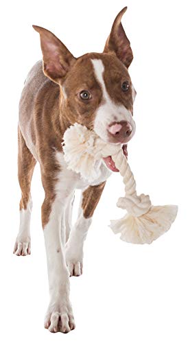 Mammoth Pet Products Flossy Chews Colossal 19-Inch 100-Percent Cotton White Dog Rope Bone (10066F)Large Breeds