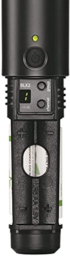 Shure BLX288/PG58 Wireless Microphone System for Two Performers with BLX88 Dual Channel Receiver and Two BLX2 Handheld Transmitters with PG58 Mic Capsules for Lead and Backup Vocals - H9 Band