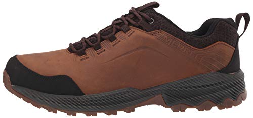 8 US Merrell mens Forestbound Hiking Shoe, Merrell Tan