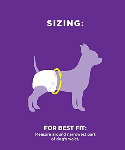 OUT! Pet Care Disposable Female Dog Diapers | Absorbent with Leak Proof Fit | Medium/Large, 14 Count