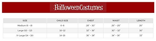 Princess Paradise Rubie's Girl's Hildagaard Warrior Costume, Tween Medium