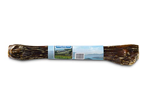 ZIWI Venison Deer Shank – Dog Bone Chew – All Natural, Air-Dried, 2 in 1 Bone Treat Wrapped in Beef Esophagus (Full Shank)