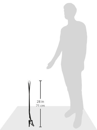 Marshall Pet Products Harness and Lead (Black)