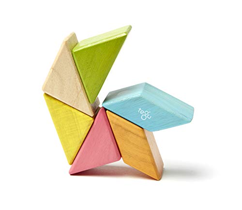 6 Piece Tegu Pocket Pouch Prism Magnetic Wooden Block Set, Tints