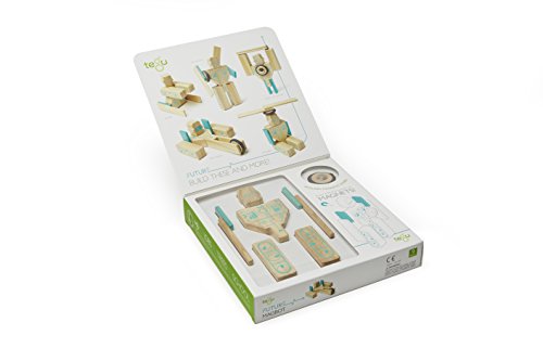 Tegu Magbot Magnetic Wooden Block Set, 1-99 years old, 9 pieces