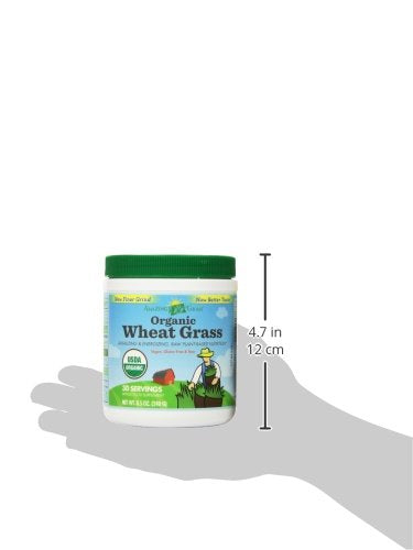 Amazing Grass Wheat Grass Powder: 100% Whole-Leaf Wheat Grass Powder for Energy, Detox and Immunity Support, Chlorophyll Providing Greens, 30 Servings
