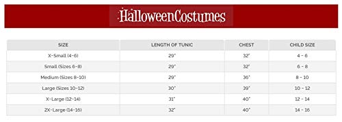 Kid's Valiant Knight Costume X-Small (4-6) Gray