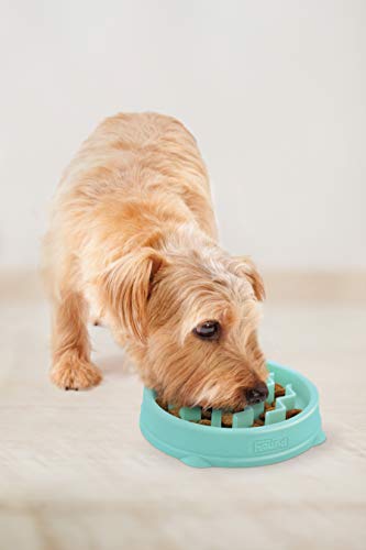 Outward Hound Fun Feeder Slo Bowl, Slow Feeder Dog Bowl, Small/Tiny, Mint