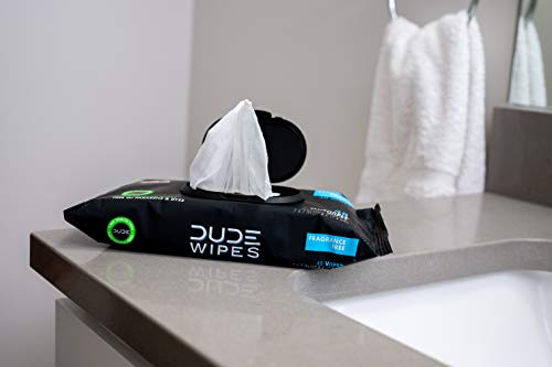 DUDE Wipes Flushable Wipes - 6 Pack, 288 Wipes - Unscented Wet Wipes with Vitamin-E and Aloe for at-Home Use - Septic and Sewer Safe