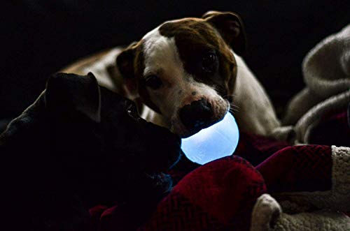 Planet Dog Orbee-Tuff Strobe Ball Blue Light Up LED Dog Toy