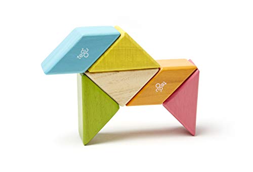 6 Piece Tegu Pocket Pouch Prism Magnetic Wooden Block Set, Tints