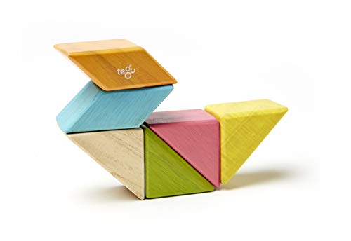 6 Piece Tegu Pocket Pouch Prism Magnetic Wooden Block Set, Tints