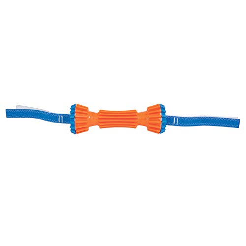 ChuckIt! Rugged Bumper Dog Toy, Large