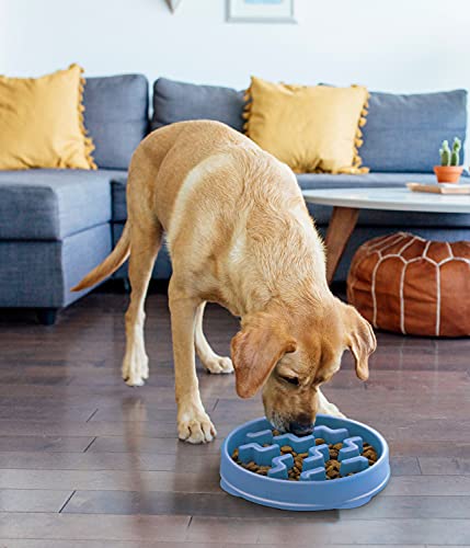 Outward Hound Fun Feeder Slo Bowl, Slow Feeder Dog Bowl, Large/Regular, Blue