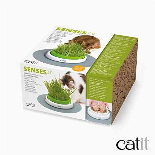 Catit Senses 2.0 Cat Grass Planter, Interactive Cat Toys