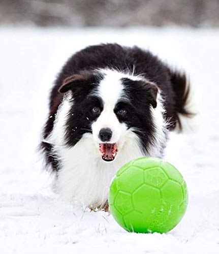 Jolly Pets Large Soccer Ball Floating-Bouncing Dog Toy, 8 inch Diameter, Apple Green