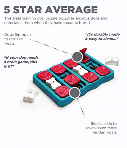 Outward Hound Nina Ottosson Dog Brick Interactive Treat Puzzle Dog Toy, Intermediate