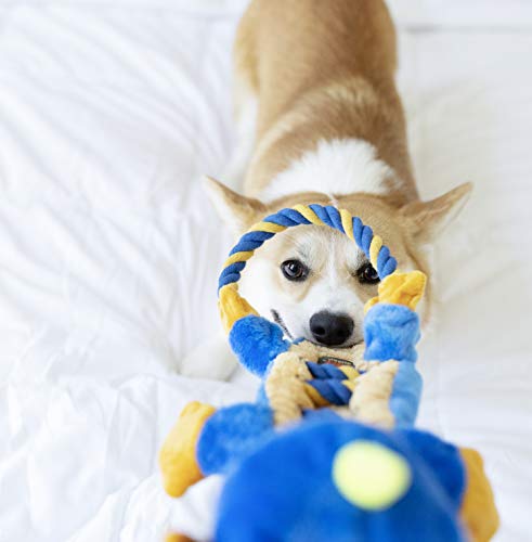 Charming Pet Ropes-A-Go-Go Dragon Interactive Plush Squeaky Dog Tug Toy