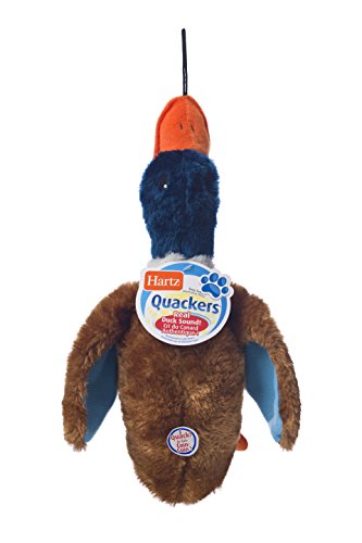 Hartz Nature's Collection Quackers Plush Duck Dog Toy - Large