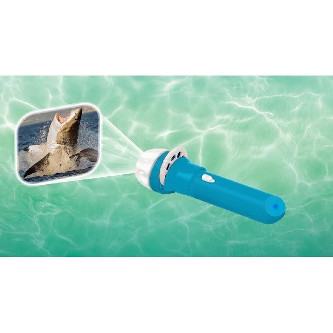 Brainstorm Toys: Shark Torch and Projector, Projects 24 Fascinating Colour Shark Images onto Walls and Ceilings, Includes 3 Slide Discs, Batteries Included, For Ages 3 and up