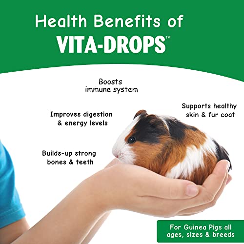 OASIS #80069 Guinea Pig Vita-Drop Vitamins, 16-Ounce liquid multivitamin with Vitamin C