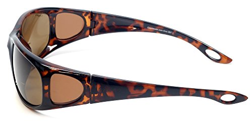 Coyote Eyewear Polarized Bifocal Reader Sunglass, Tortoise/Brown, 2