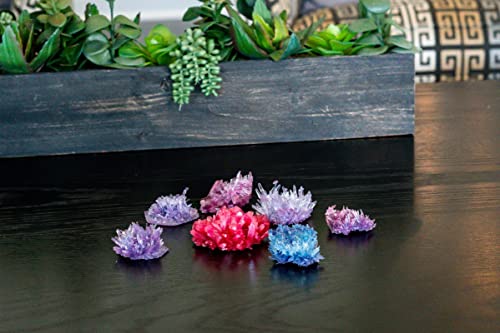 4M Crystal Growing Science Experimental Kit - 7 Crystal Science Experiments with Display Cases - Easy DIY STEM Toy Lab Experiment Specimens, Educational Gift for Kids, Teens, Boys and Girls