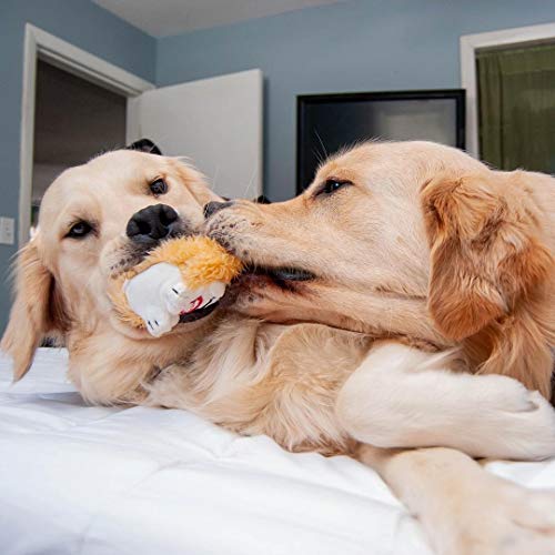 Pet Qwerks Plush Interactive Dog Toys - Chattering Hedgehog - 7.5 in for Large, Beige