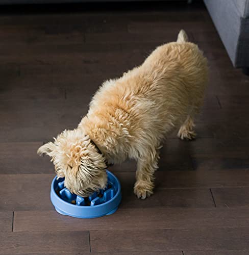 Outward Hound Fun Feeder Slo Bowl, Slow Feeder Dog Bowl, Medium/Mini, Blue