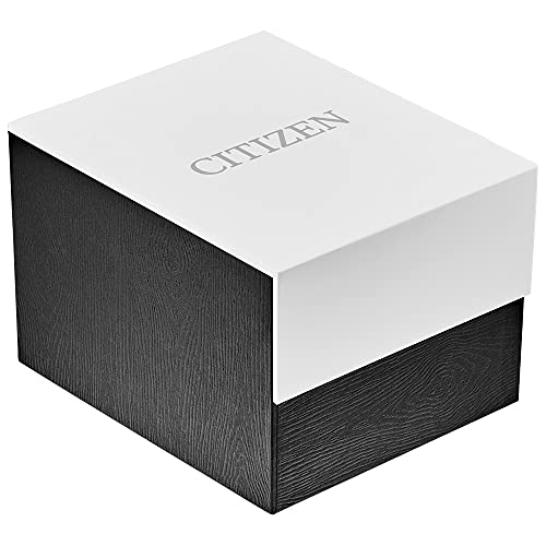 Citizen Men's Eco-Drive Weekender Watch in Stainless Steel with Black Polyurethane strap, Black Dial (Model: AW1150-07E)