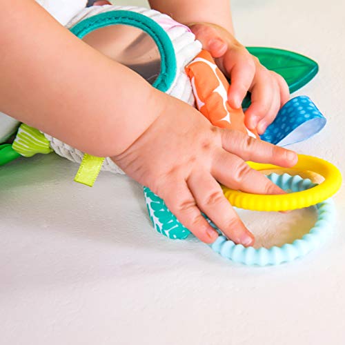 Bright Starts Playful Pals Activity Take-Along Toy, Rhino, Newborn +