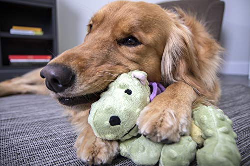 goDog Bubble Plush Dragons Squeaky Dog Toy, Chew Guard Technology - Lime, Large