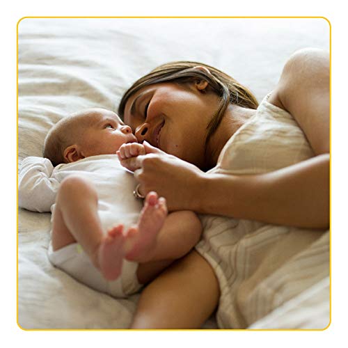 Medela Easy Expression Hands Free Pumping Bra, Nude, Large, Comfortable and Adaptable with No-Slip Support for Multitasking