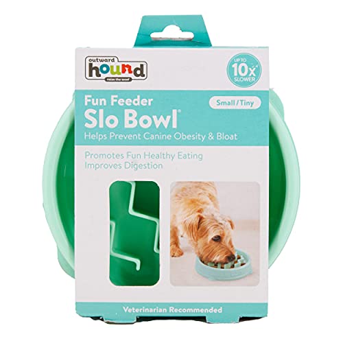 Outward Hound Fun Feeder Slo Bowl, Slow Feeder Dog Bowl, Small/Tiny, Mint
