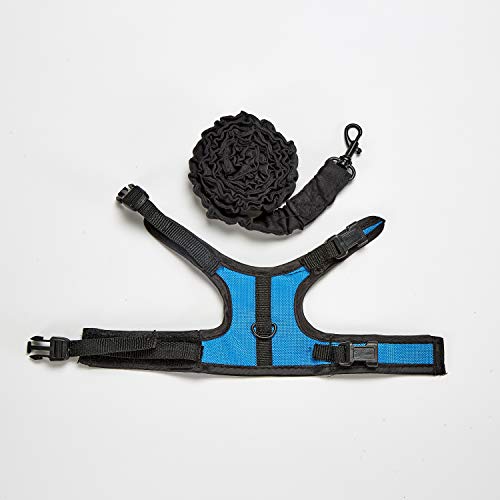 Kaytee Comfort Harness And Stretch Leash Small