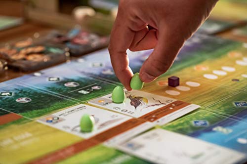 Stonemaier Games Wingspan Board Game - A Bird-Collection, Engine-Building STONEMAIER Game for 1-5 Players, Ages 14+