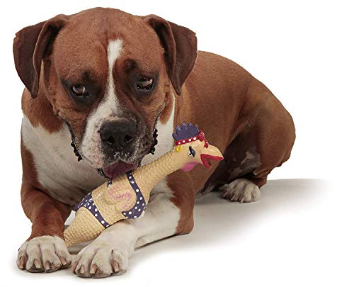 Charming Pet Squawkers Henrietta Latex Rubber Chicken Interactive Dog Toy, Large