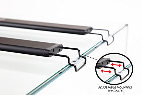 Current USA Satellite Freshwater LED Plus Light for Aquarium, 18 to 24-Inch