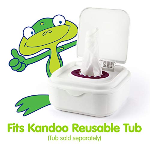 Flushable Wipes for Baby and Kids by Kandoo, Unscented for Sensitive Skin, Hypoallergenic Potty Training Wet Cleansing Cloths, 250 Count (Pack of 4)
