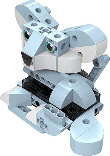 Thames and Kosmos Kids First: Robot Safari - Introduction to Motorized Machines Science Experiment Kit for Ages 5 to 7, Build 8 Robotic Animals Including A Unicorn, Llama, Narwhal and More