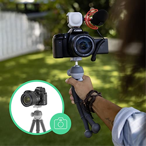 JOBY PodZilla Large Kit, Flexible Tripod with GripTight 360 Phone Mount, Phone Tripod from The Creators of GorillaPod, Compatible with iPhone, Smartphones, Action Cameras or Devices up to 2.5Kg, Grey