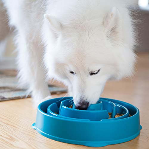 Outward Hound Fun Feeder Slo Bowl, Slow Feeder Dog Bowl, Large/Regular, Turquoise