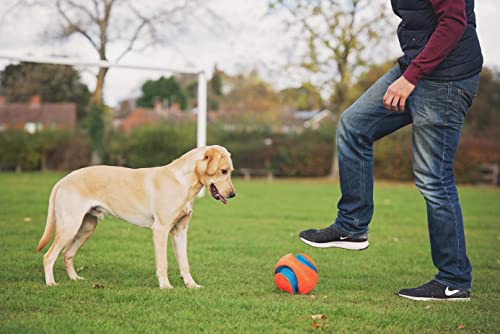 Chuckit Kick Fetch Ball Dog Toy, Large (8 Inch)