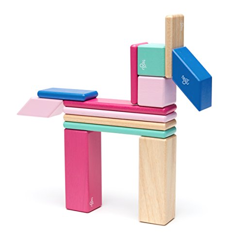 14 Piece Tegu Magnetic Wooden Block Set, Blossom