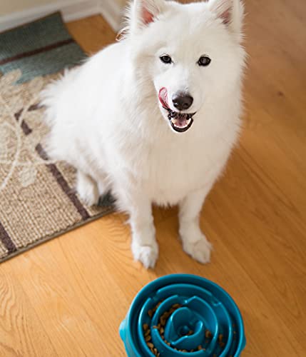 Outward Hound Fun Feeder Slo Bowl, Slow Feeder Dog Bowl, Large/Regular, Turquoise