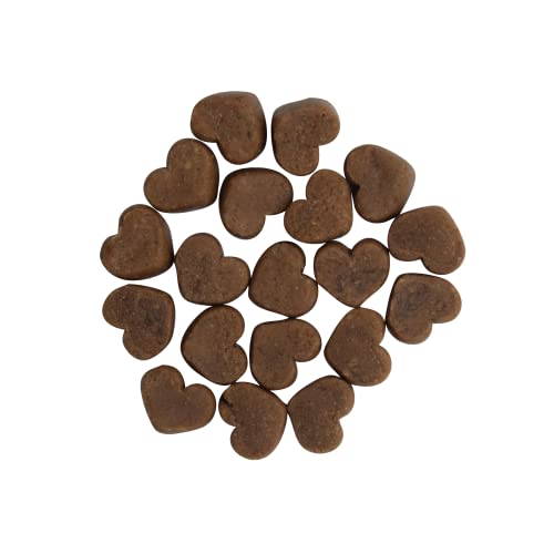 Health Extension ImpawFect Soft Baked Chew Dog Treat, Non-GMO, Training Treats Dogs and Puppies, Added Vitamins and Minerals, Upcycled Ingredients to Fight Food Waste, Soft Smaller Pieces_Bacon (4Oz)